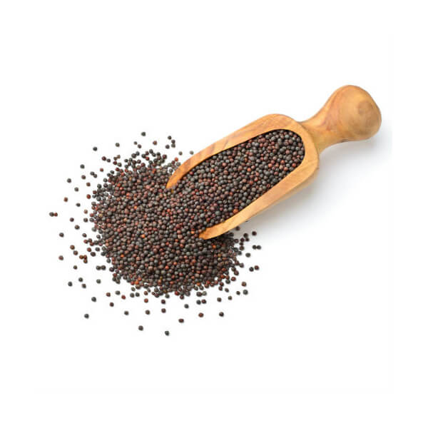 Mustard 100g